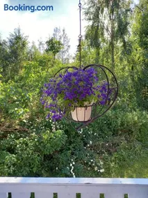 Bärvallen 388 - Image 4