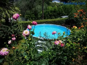 Casa Anna a Pietrasanta in Toscana con piscina - Image 4
