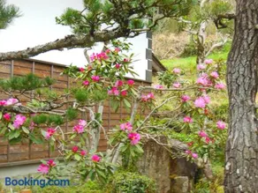Japanese Style Inn Dohzen Miwa - Image 3