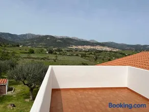 La casa nell'oliveto - Image 5