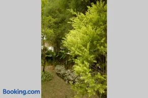 The Pines Vimala Hills - Image 3