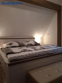 Ferienapartment-Monteurwohnung-Muldestausee - Image 2