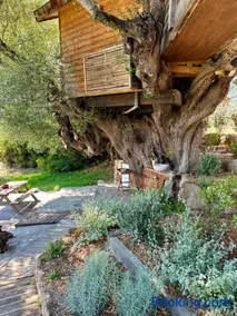 Cabane Dans les Arbres, Domaine de l Ogliastru - Image 2