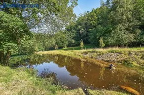 Naturperle midt i skoven, ved sø og eng - Image 2