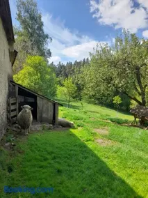 Maringotka v pošumaví - Image 2