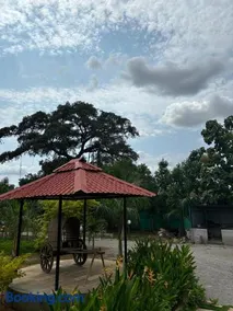 SR Farm Stay - Image 4