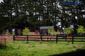 Pine Forest Luxury Tiny Cabins - Image 2