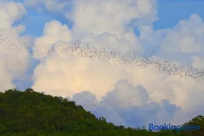 Bat Cave Glamping Khao Yai - Image 4