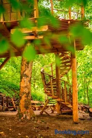 Treehouse pod Jestedem - Image 3