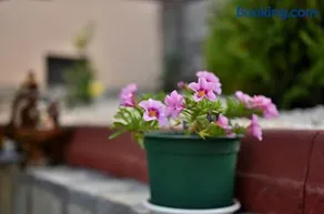 Saint Maria Guest House - Image 4