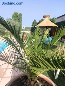Le gite de lOlivier en Provence - Image 2