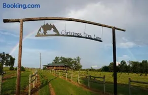 Rural life on a real Christmas tree farm! Hallmark experience! - Image 1
