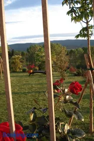 Casa la Pineta - Image 3