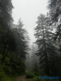 Pahadi Prologue - Image 3