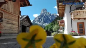 Pensione Valbona - Image 4