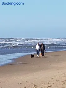 Romantisch Huisje nabij het strand met uitzicht op de tulpenvelden - Image 2