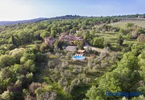 Alloro - Image 2