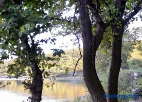 Holiday Homes In Barban - Istrien 10863 - Image 4