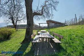 Regalterhof Eppan - Image 4