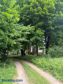 Leśna Sonata - Image 3