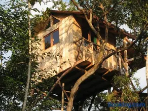 Guayabo Verde - Image 2