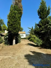 Charming Villa for nature lovers in Theotoky Estate Vineyard and olive mill - Image 4