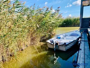 Seehütte Neusiedlersee inklusive Elektroboot - Image 4