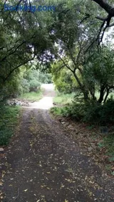 Honey Nest Camp - Image 1