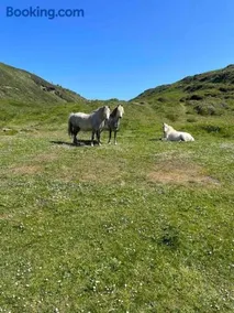 Coastal Caravan in Solva - Image 1