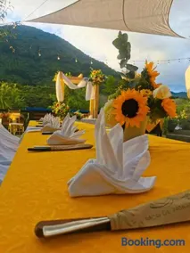 Hotel Nido de Pájaro - Image 3
