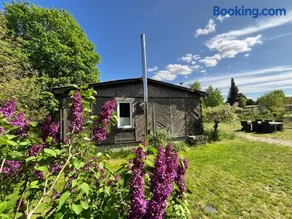 Haus 8 am Grimnitzsee mit Sauna - Image 1