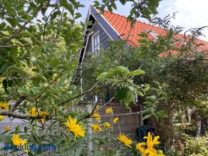het zwaluwnest - Image 3