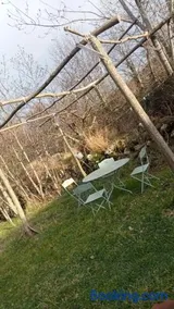 l'oiseau rieur - Image 2