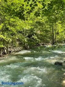 Hamsiköy green garden - Image 3