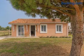 Le Pin Franc - Image 1