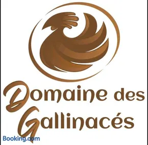 DOMAINE DES GALLINACES CHALET SUSSEX 2-4p - Image 2