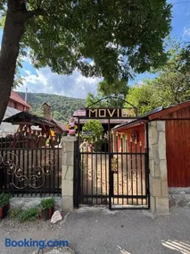 Vila Movilă - Image 1