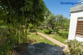 An Edens Garden Near The Sea - Pansion Youli - Image 1