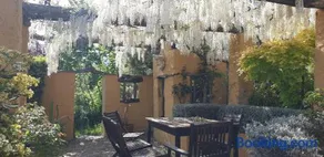 Cortijo Opazo - Image 2