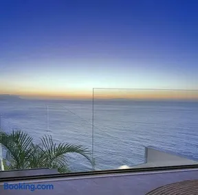 Toucan's Nest: Landing in Paradise - Image 5