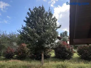 Ferienhaus Niesky - Image 2