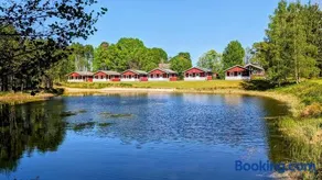Gammal björn - Image 5