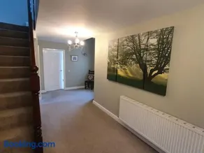 Otter House - Image 1