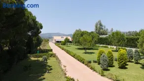 Schinias Paradise - Image 3