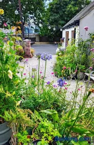 Ropewalk Cottage - A Little Treasure By The Coast - Image 3