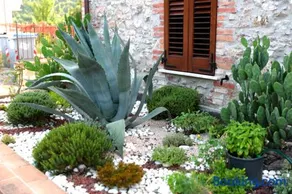 Il Casolare Green House - Image 5