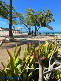 Beautiful apartment in Playa Dorada - Image 4