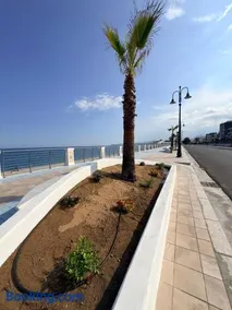 Il gelso - Image 2