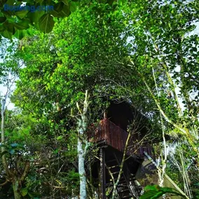 Greens Tree House & Wood House - Image 2