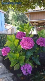 Apartamentos rurales Fuentefría - Image 3